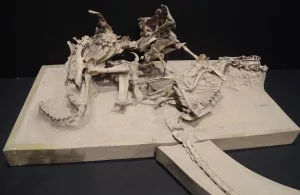 „The Fighting Dinosaurs“ – Abguss im Nagoya City Science Museum, Japan