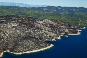 Verbrannter Wald auf der Adriainsel Korcula, Kroatien