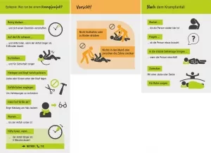 Infrografik Verhaltensregelb beiem epileptischen Anfall