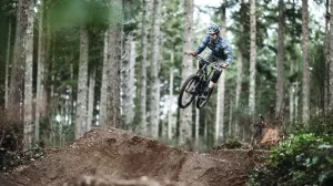 Mountainbiker auf einer Waldpiste