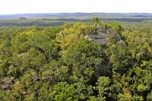 Spitze der Pyramide La Danta in El Mirador