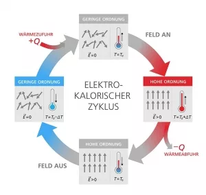 Elektrokalorischer Zyklus