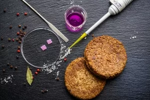 Stützstruktur für Laborfleisch aus dem 3D-Drucker und zwei Burger Pattys aus Erbsenprotein