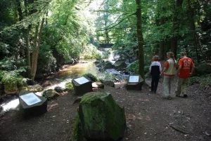 Beschilderter Naturlehrpfad
