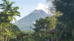 Merapi mit weißlicher Vulkanfahne