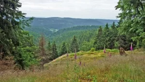Triniusblick am Rennsteig bei Spechtsbrunn