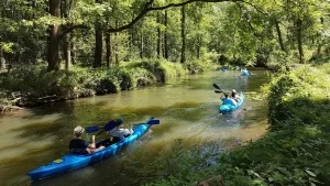 Kanal im „Hochwald“ des Spreewalds in Burg.