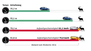 Infografik zu Bremswegen bei Wildwechsel, Quellen DJV und ADAC
