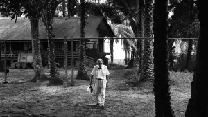 Albert Schweitzer 1964 auf dem Gelände es Albert-Schweitzer-Hospitals in Lambarene