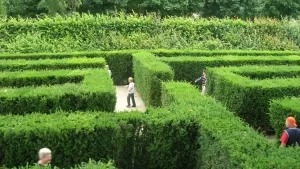 Labyrinth im Schlosspark von Schönbrunn