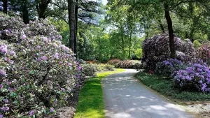 Spazierweg im Bremer Rhododendron Park.