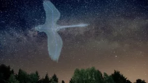 Sternbild Schwan, vom Erzgebirge aus betrachtet, 2018