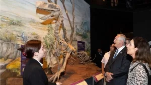 Skelettrekonstruktion von Paraphysornis im Museo Paleontológico Egidio Feruglio von Trelow, Argentinien