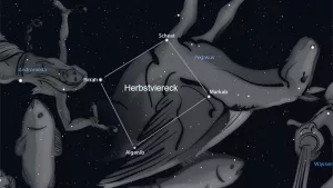 Herbstviereck im Sternbild Pegasus