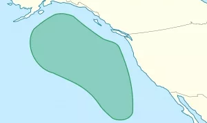 Lebensraum des 52-Hertz-Wals 