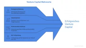Infografik Venture-Capital-Mehrwerte